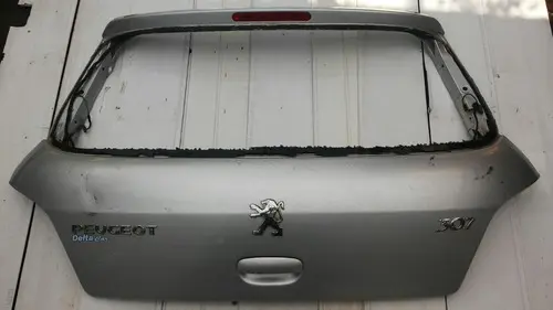 Tampa Traseira 307 Hatch